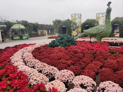 -上海杨姆庄园