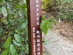 -岳麓山风景名胜区