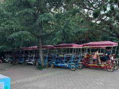 -日照海滨国家森林公园
