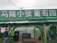 -马陆小张葡萄园农家乐