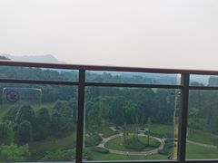 -成都蒲江花样年福朋喜来登度假酒店·宜客乐西餐厅