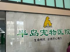 -半岛宠物医院24小时(科华中路店)