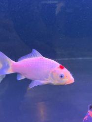 -青木造型HAIR·あおき髪を刈る潮人店