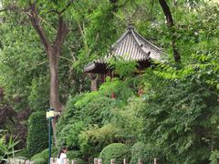 -环城公园