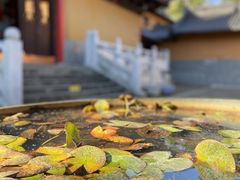 -灵谷景区