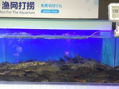-盒马鲜生(莱蒙都会店)