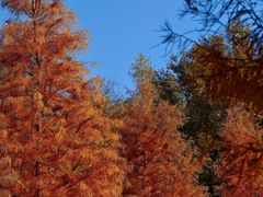 -南京市无想山景区
