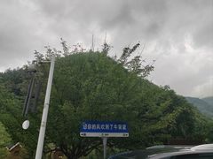 -牛背梁国家森林公园