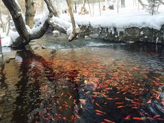 -水磨沟公园