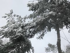 -天目湖涵田半山温泉