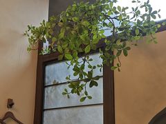 -豫满楼(正光路店)