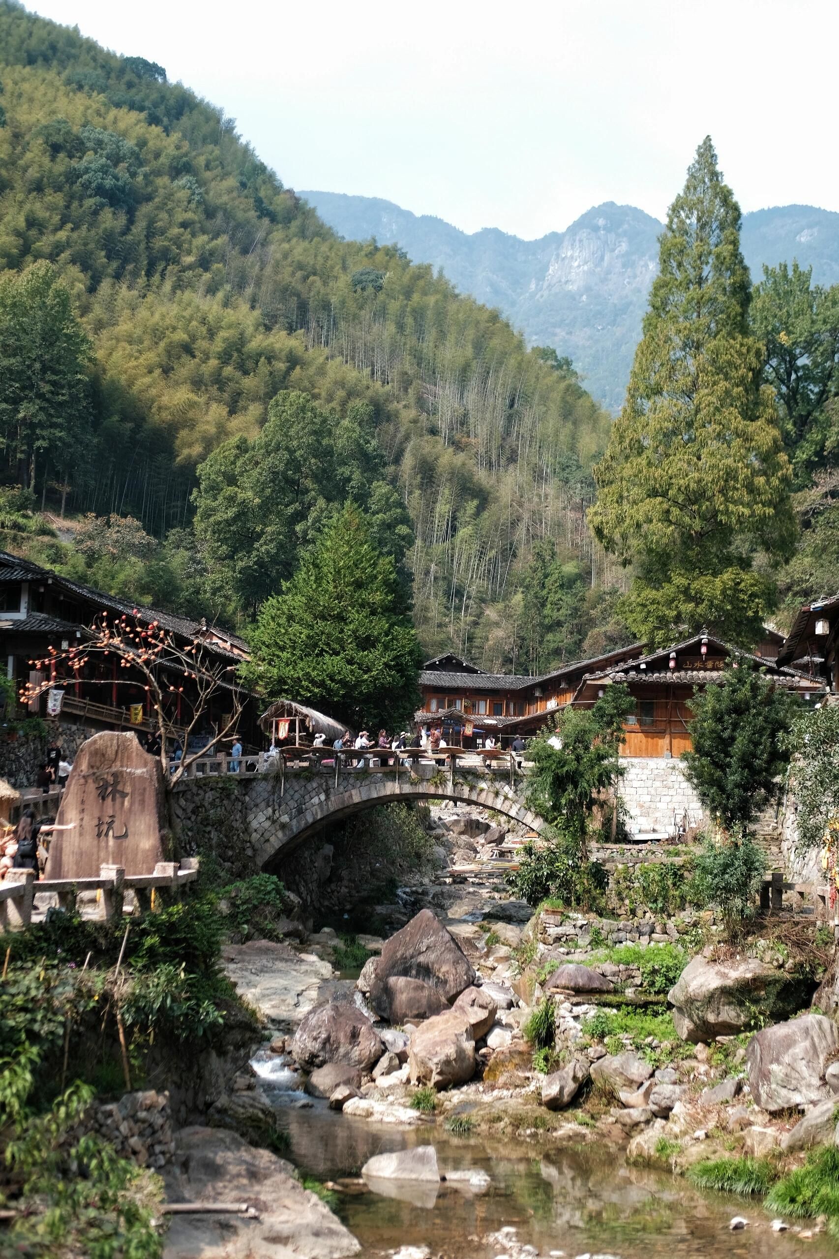 温州晒秋到底去林坑?还是去苍坡?