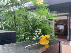 -T館·花园艺术餐厅
