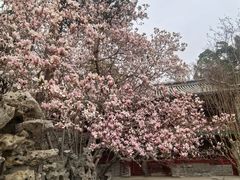 -潭柘寺景区