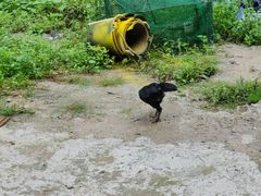 -侯家庄私房菜馆观景餐厅