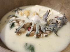 -滇小鱼·云南野生菌火锅(上杭路店)