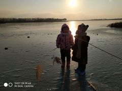 -丁香湖公园