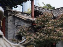 -真庆观