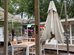 -芭厘·农庄老字号.电饭煲五指毛桃焗鸡