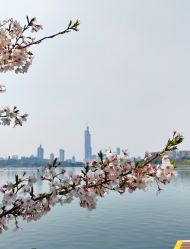 -玄武湖景区-情侣园游乐场