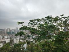-炮台山公园