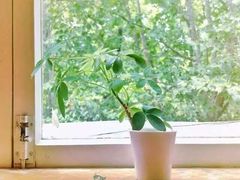 -雕刻时光咖啡馆(交大店)