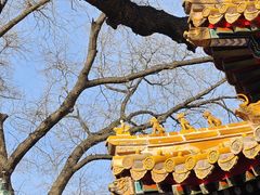 -贤良祠