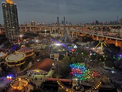 -锦江乐园舞狸花花游园会(夜场专享)