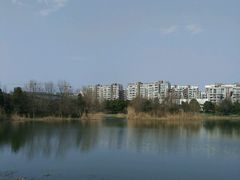 -新江湾城公园