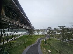 -状元楼(金溪路店)