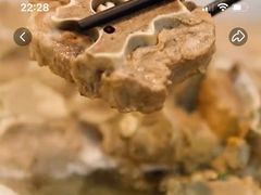 白汤羊蝎子-浩爷羊蝎子火锅(望京店)