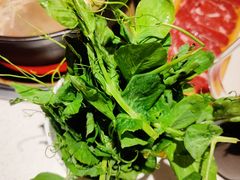 -钢管厂五区小郡肝串串香火锅(梅川路店)