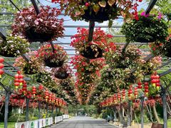 -东平国家森林公园