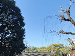 -豫园
