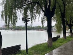 -北陵公园