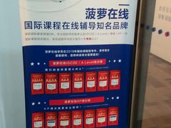 -菠萝国际教育专注Alevel·IGCSE·IB·AP·托福雅思培训辅导(静安校区)