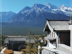 -丽江金茂璞修雪山酒店-雪景阁餐厅
