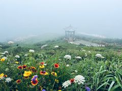 -东极岛景区