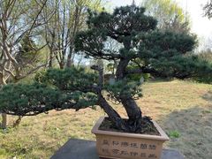 -杭州植物园
