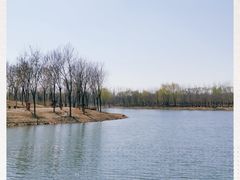 -东郊湿地公园