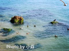 -海驴岛(荣成市)