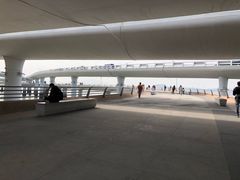 -演武大桥观景平台