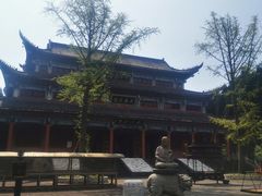 -武陵山森林公园