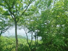 -杭州黄龙洞