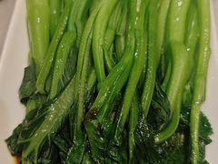 -金鼎轩(方庄天坛店)