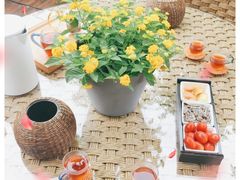 -大隐花事(熊婆婆的花园店)