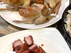 -石岐乳鸽村(南海第三分店)