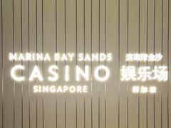 -滨海湾金沙购物商场