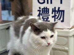 -塔顶·Cafe·日啡夜酒(北京路店)