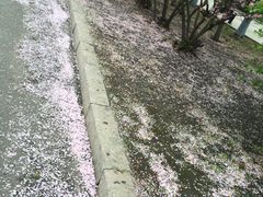 -川哥辣妹(南岗店)